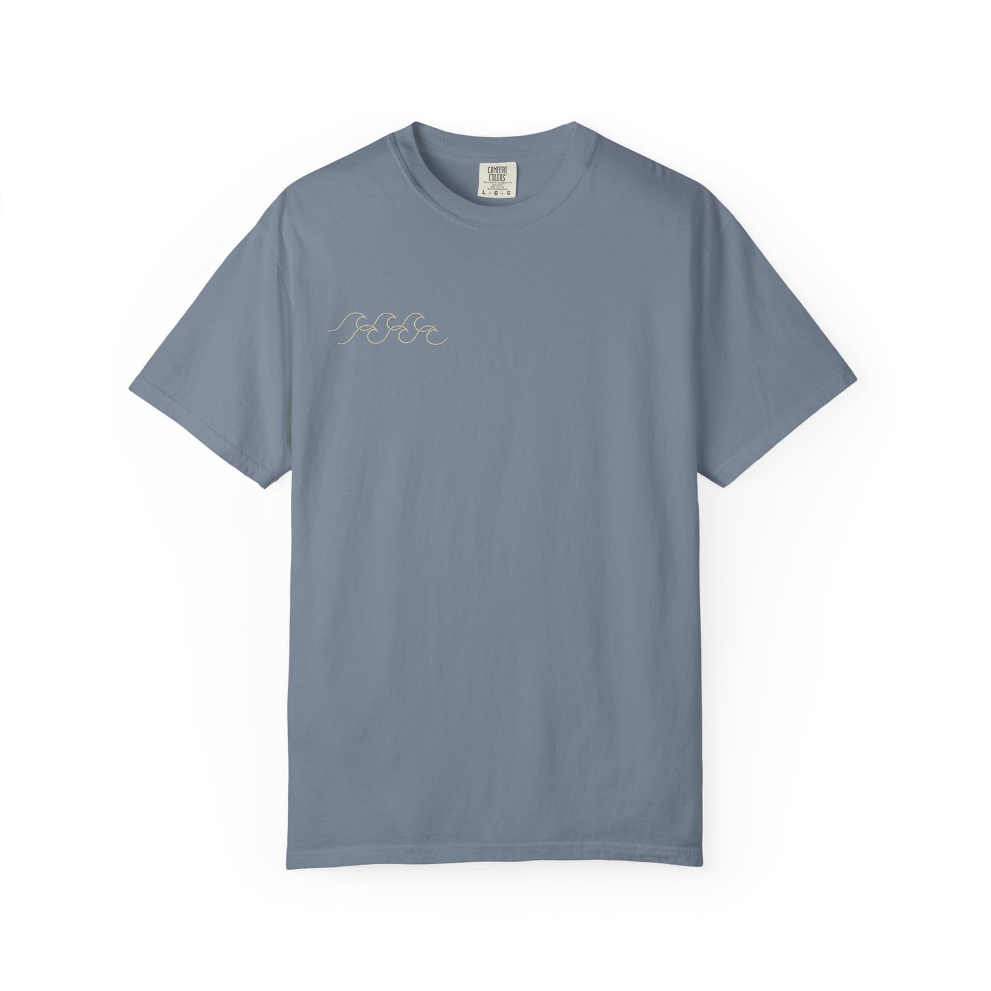 Salty Dad Vibes T-Shirt — Premium Member Vintage Beach Tee